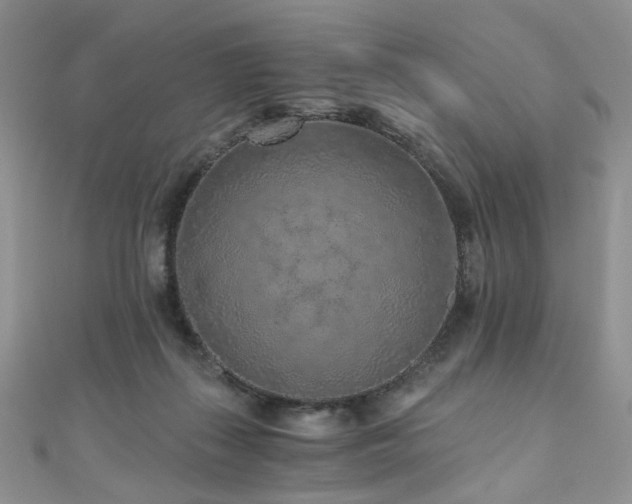 X0000110870267200906181208