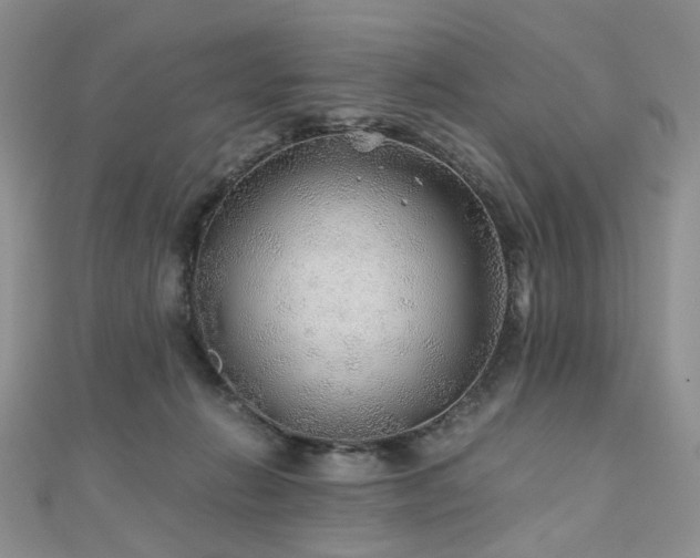 X0000110870270200906181208