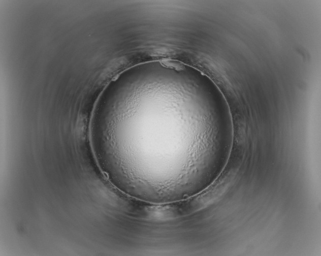 X0000110870273200906181208