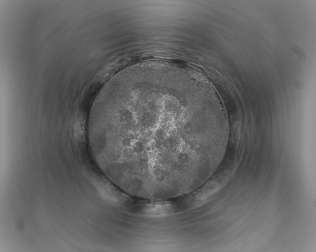 X0000110870274200906181208