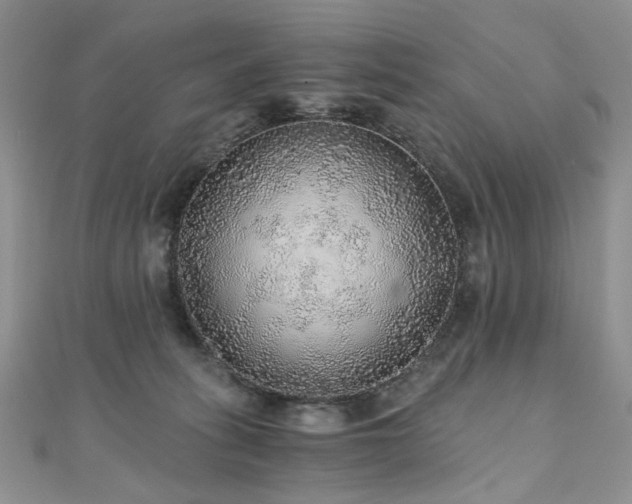 X0000110870275200906181208