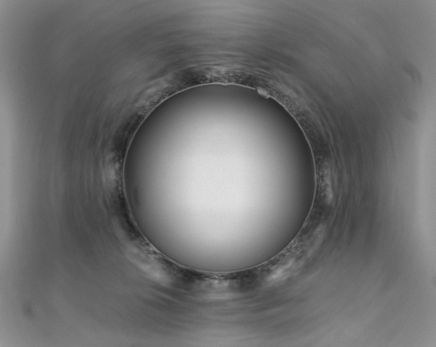 X0000110870276200906181208