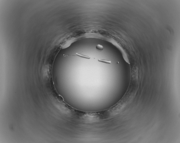 X0000110870280200906181208