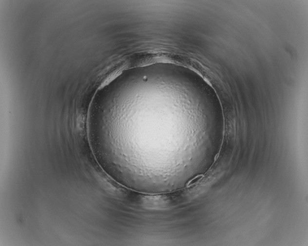 X0000110870281200906181208