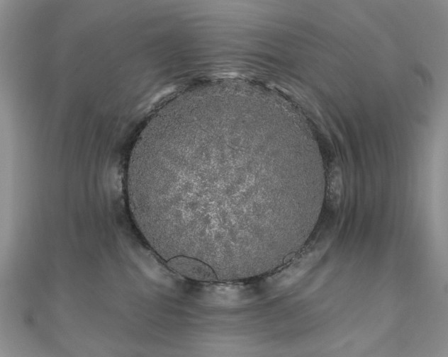 X0000110870282200906181208