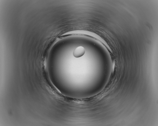 X0000110870284200906181208