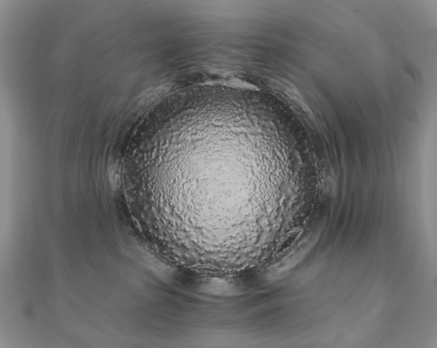 X0000110870285200906181208