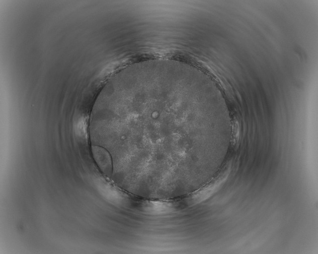 X0000110870286200906181208