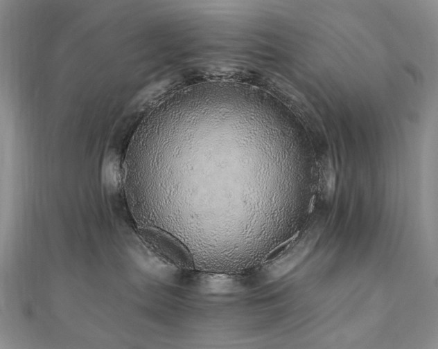 X0000110870287200906181208