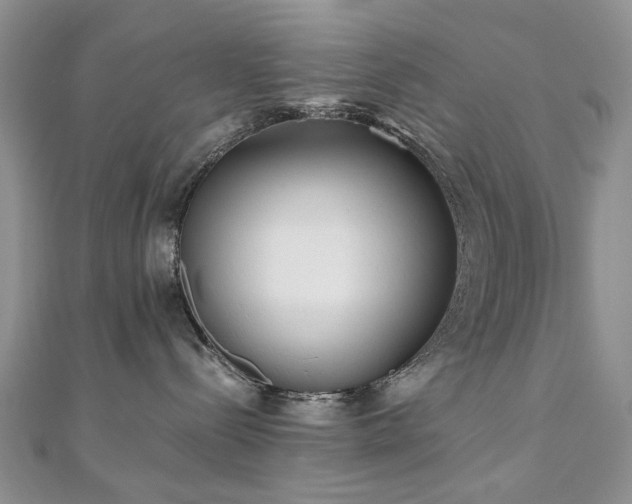 X0000110870288200906181208