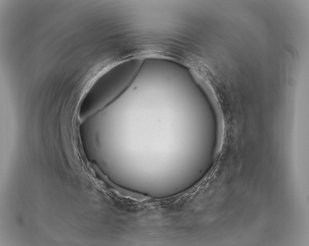 X0000110870289200906181208