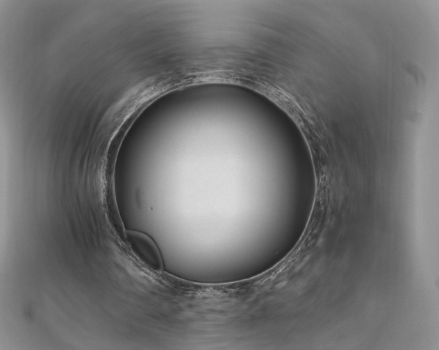 X0000110870290200906181208