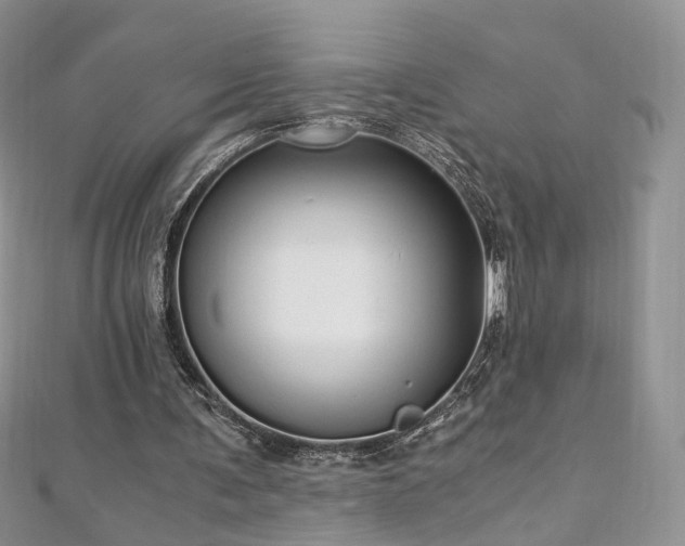 X0000110870291200906181208