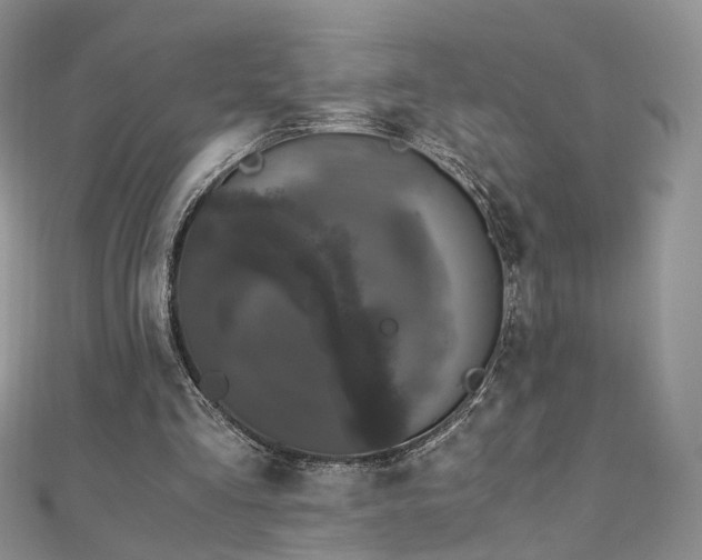 X0000110870293200906181208