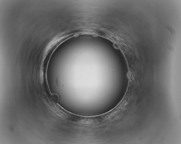 X0000110870294200906181208