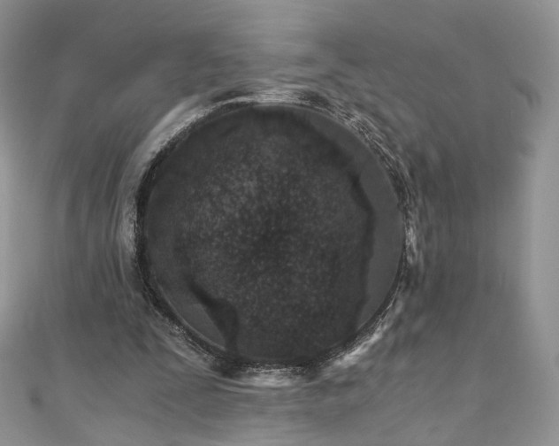 X0000110870295200906181208