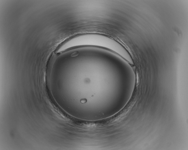 X0000110870301200906181208