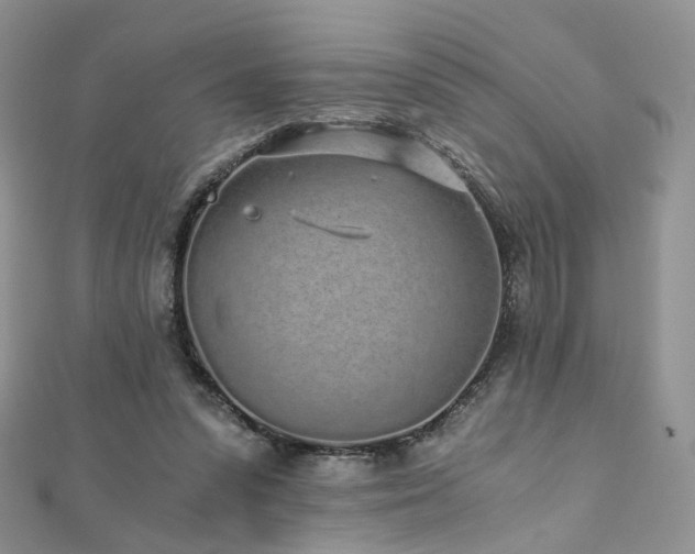 X0000110870303200906181208