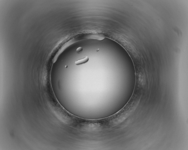 X0000110870304200906181208