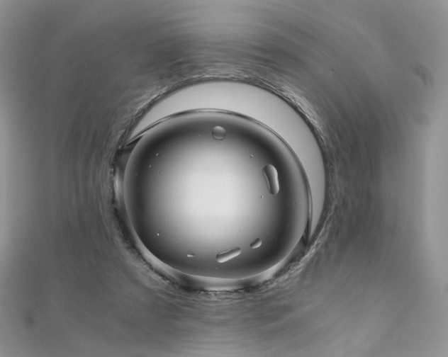 X0000110870305200906181208