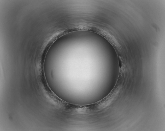 X0000110870306200906181208