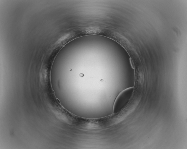 X0000110870308200906181208