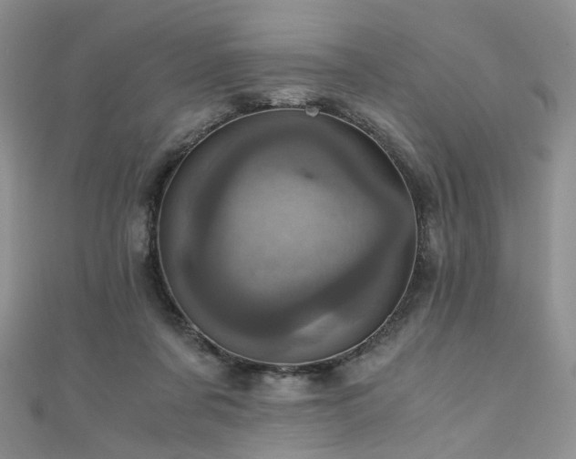 X0000110870311200906181208