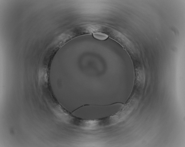 X0000110870313200906181208