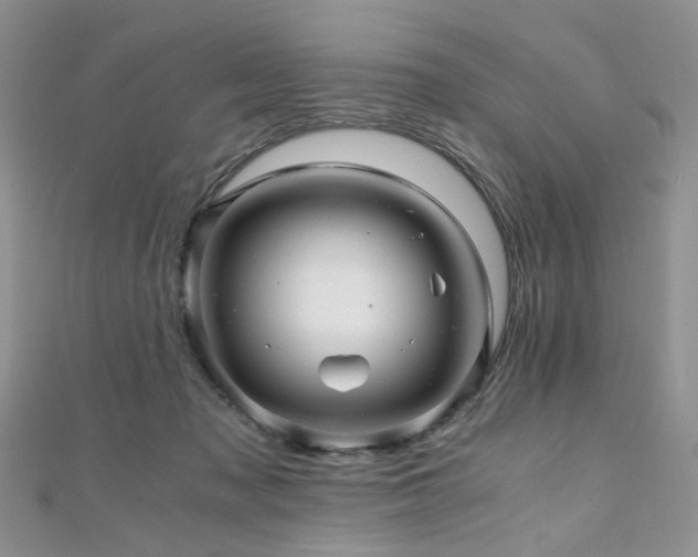 X0000110870317200906181207