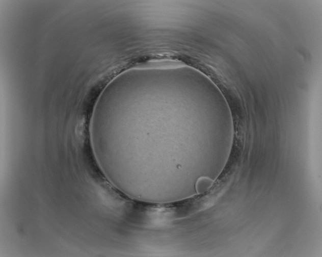 X0000110870319200906181207