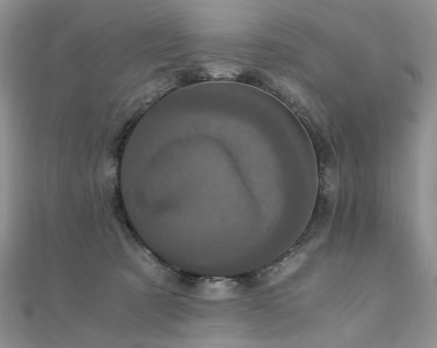 X0000110870321200906181207