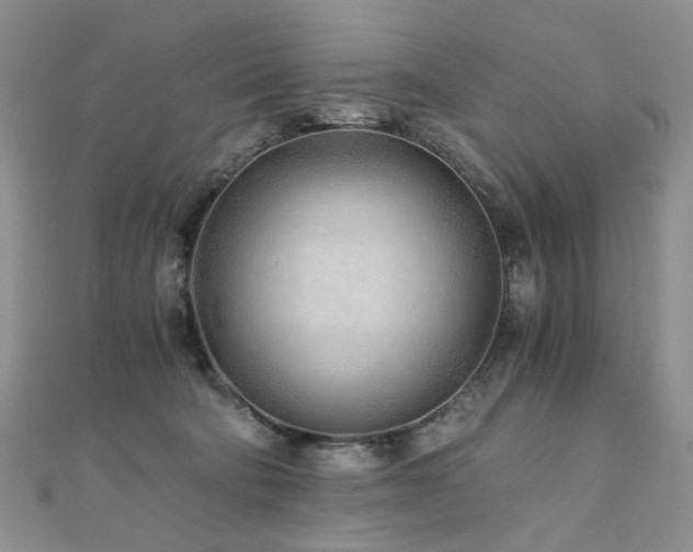 X0000110870322200906181207