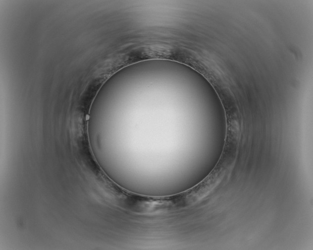 X0000110870323200906181207