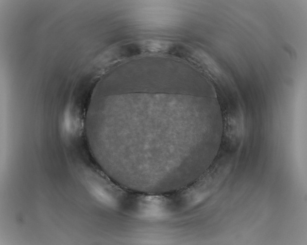 X0000110870324200906181207