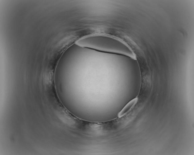 X0000110870325200906181207