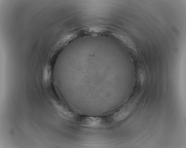 X0000110870328200906181207