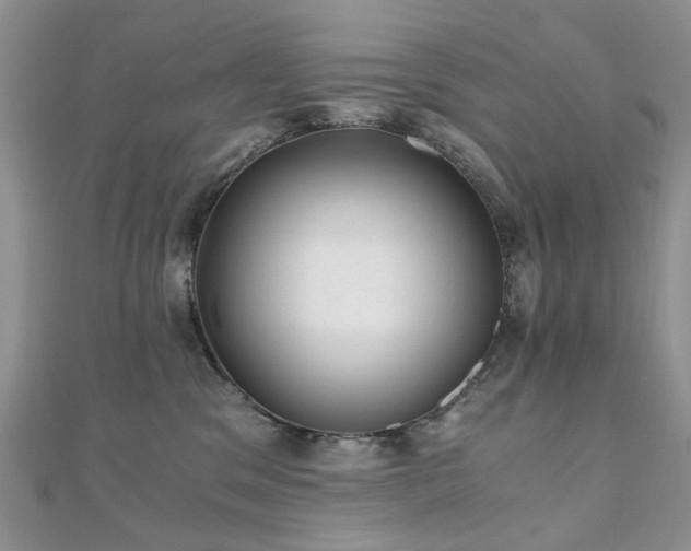 X0000110870329200906181207