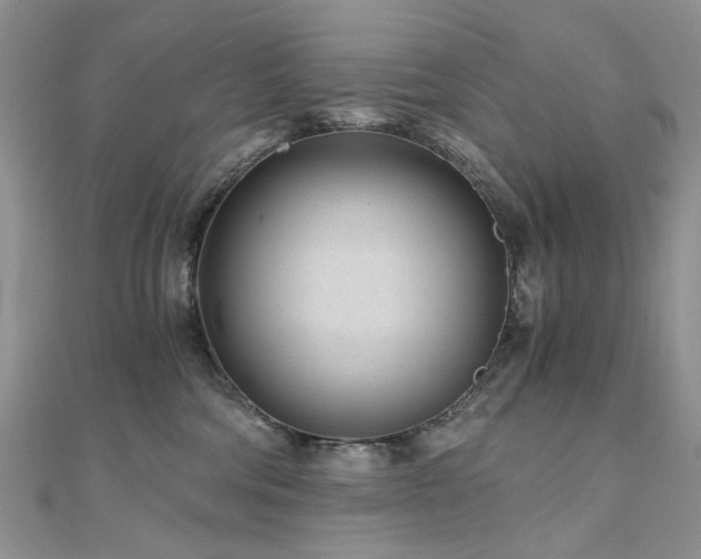 X0000110870330200906181207