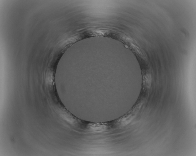 X0000110870331200906181207