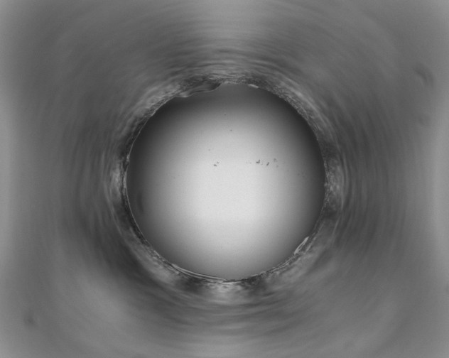 X0000110870333200906181207