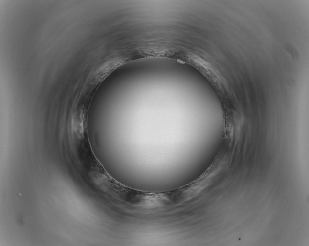 X0000110870334200906181207