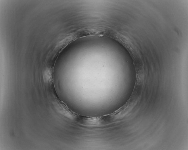 X0000110870335200906181207