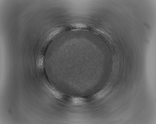 X0000110870336200906181207