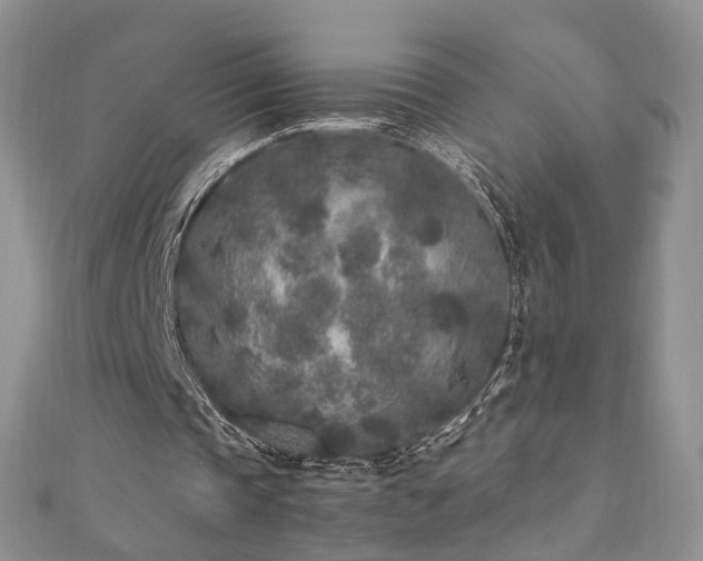 X0000110870337200906181207