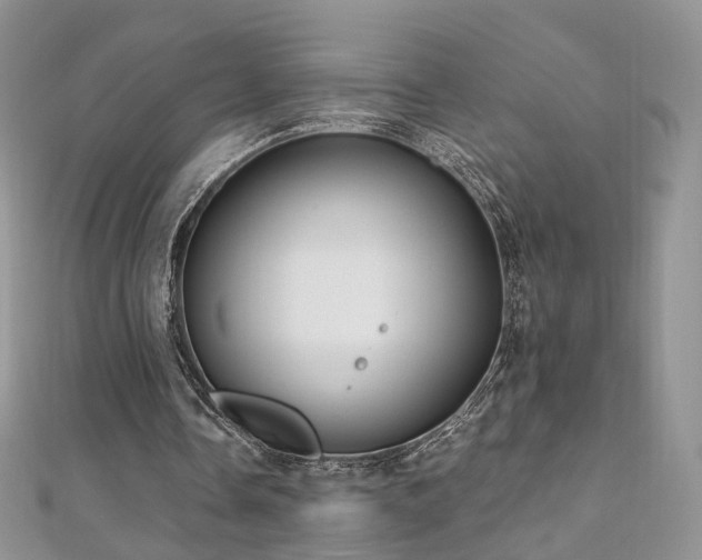 X0000110870338200906181207