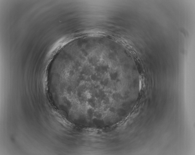 X0000110870339200906181207