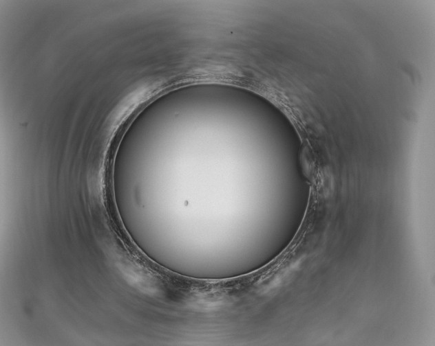 X0000110870340200906181207