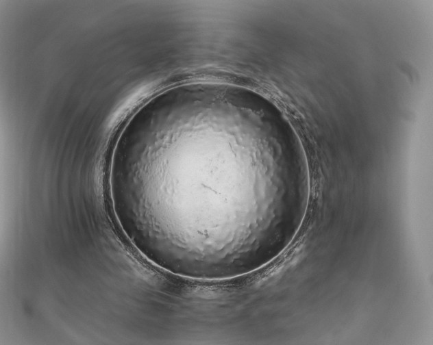 X0000110870341200906181207