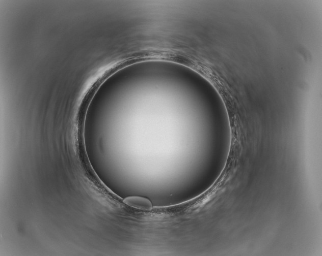 X0000110870342200906181207