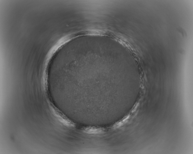 X0000110870343200906181207